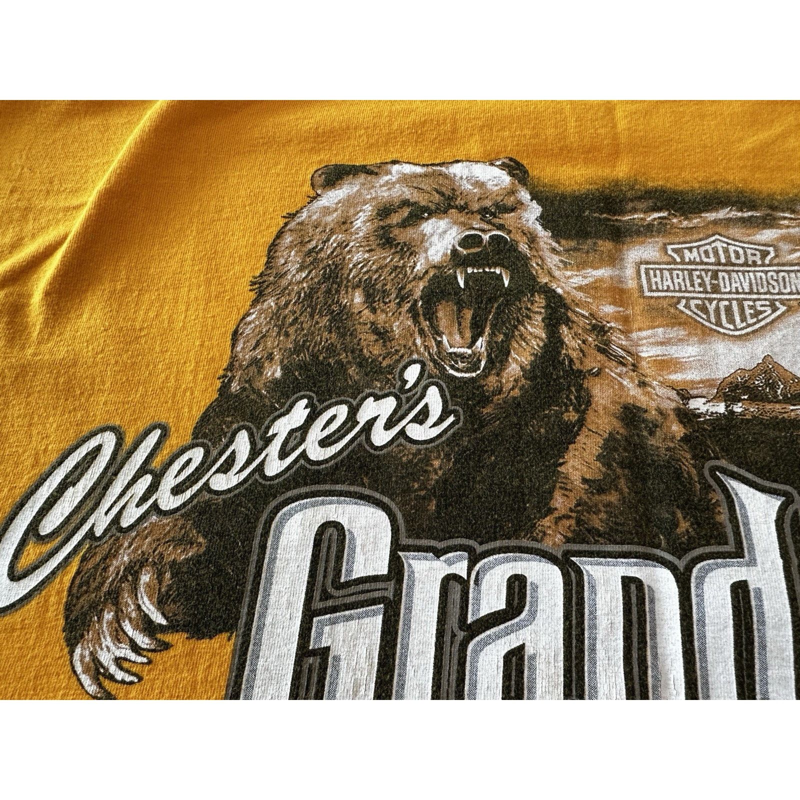 Harley Davidson Harley Davidson TShirt Grand Teton Idaho 2XL, Motorcycle Size US XXL / EU 58 / 5 - 4 Thumbnail