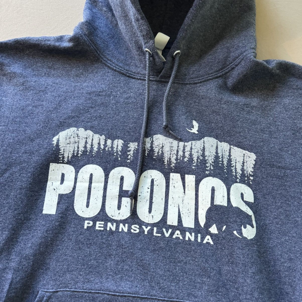 Jerzees Pocono’s Pennsylvania Desination Hoodie Size US S / EU 44-46 / 1 - 4 Thumbnail