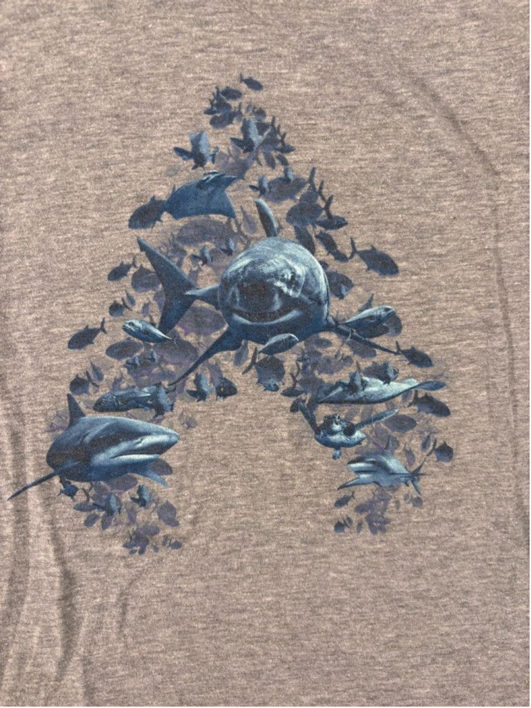 Tultex Men's Tultex Gray Aquaman Graphic T-Shirt Size M Size US M / EU 48-50 / 2 - 6 Thumbnail