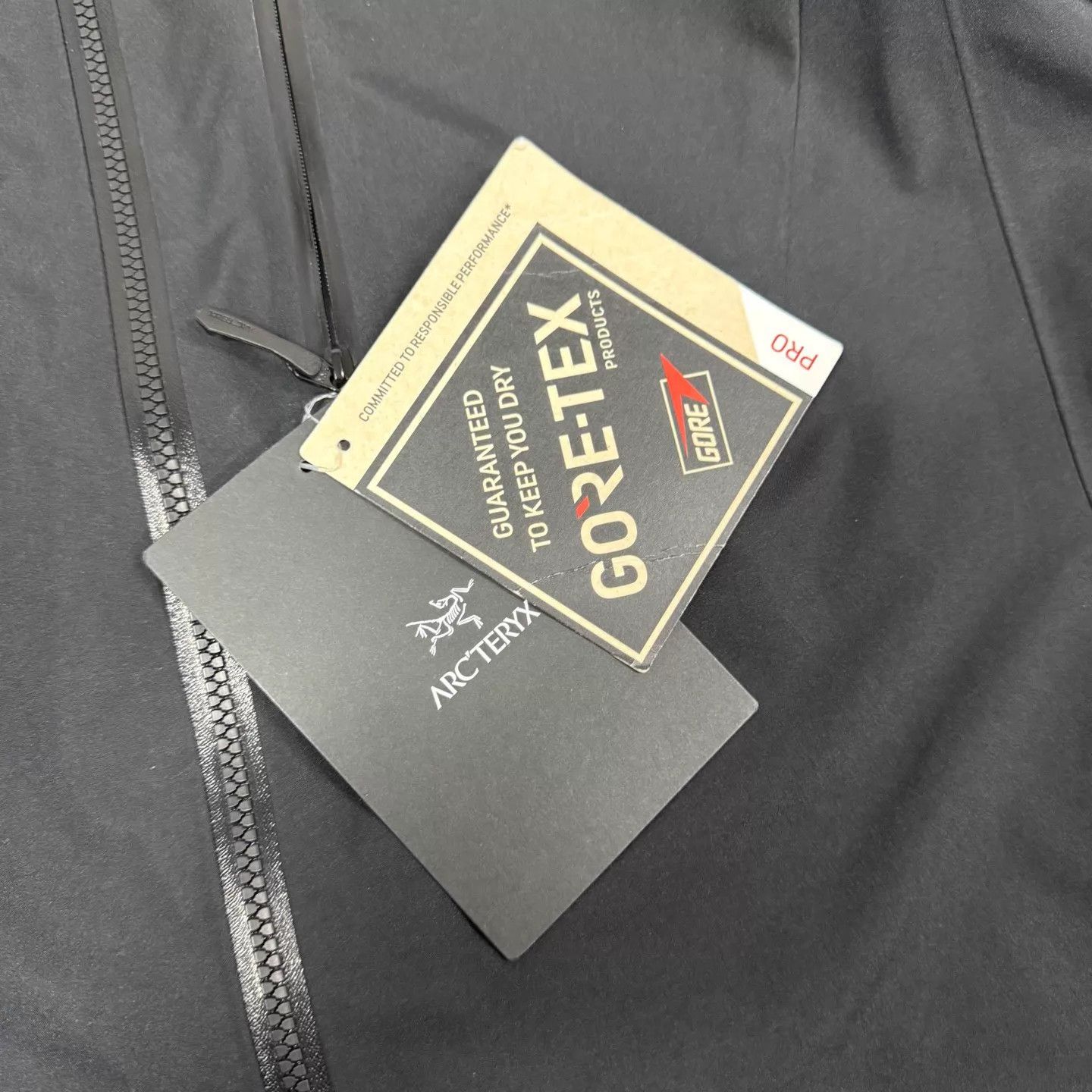 Arc'teryx Arcteryx Alpha SV Gore-Tex Pro Shell Jacket L New Size US L / EU 52-54 / 3 - 5 Thumbnail