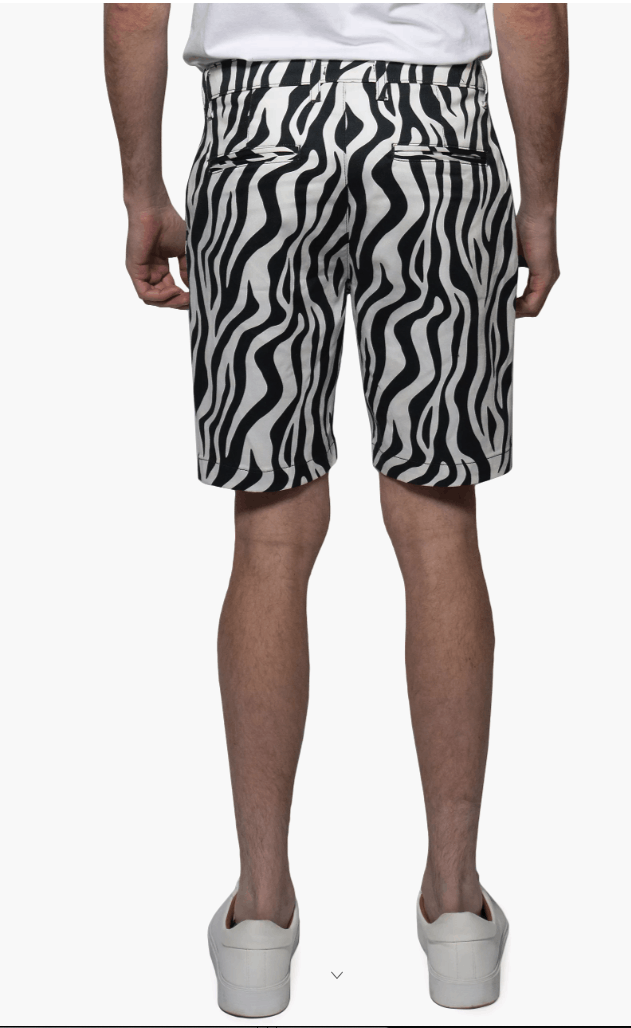 MONFRERE MONFRERE Men's Cruise Zebra-Print Twill Shorts Size US 33 - 2 Thumbnail
