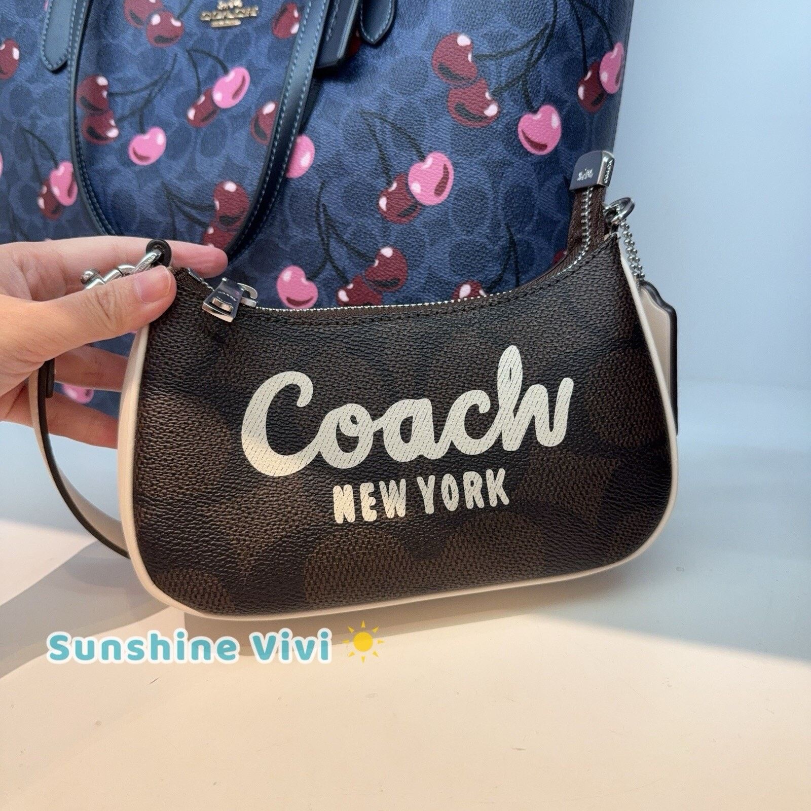 NWT Coach Teri Mini Crossbody Bag Cy734 Silver/walnut/chalk, Women's
