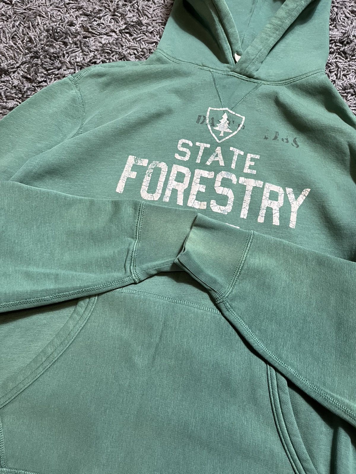 Polo Ralph Lauren RALPH LAUREN STATE FORESTRY DEPT. COTTON Y2K STYLE HOODIE Size US L / EU 52-54 / 3 - 3 Thumbnail