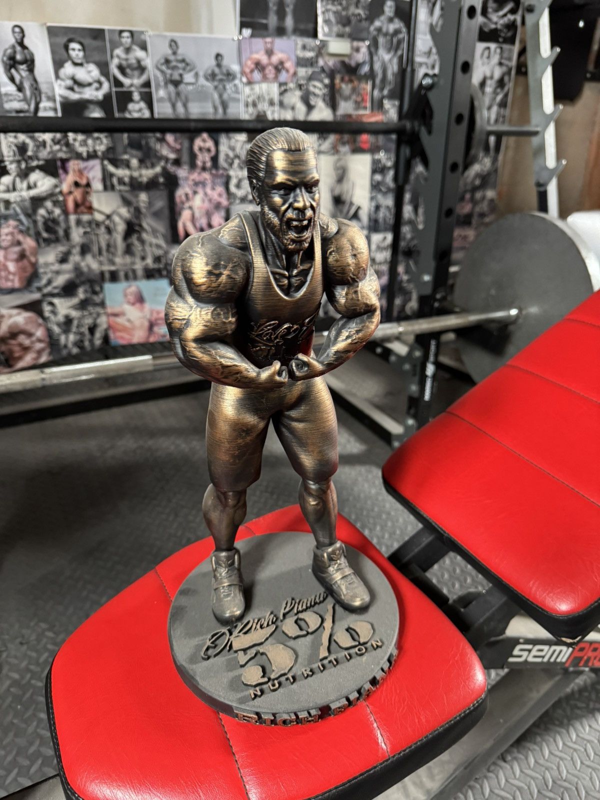 Other Gym statue Rich Piana 35cm Size ONE SIZE - 9 Thumbnail