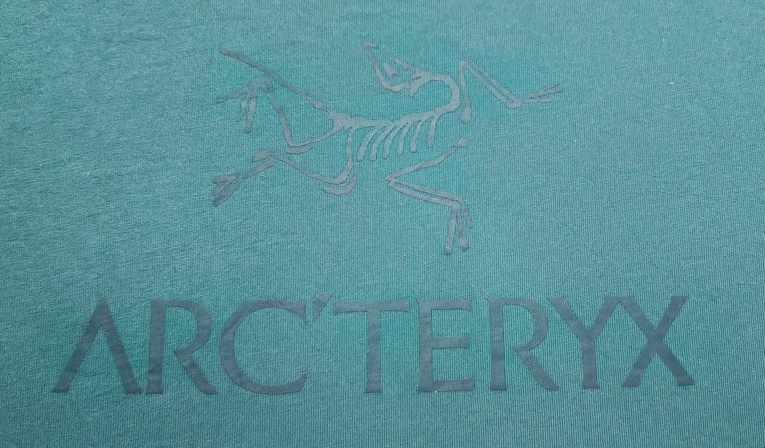 Arc'teryx 🔥🔥 Arc'teryx Big Logo Tee Size US M / EU 48-50 / 2 - 3 Thumbnail