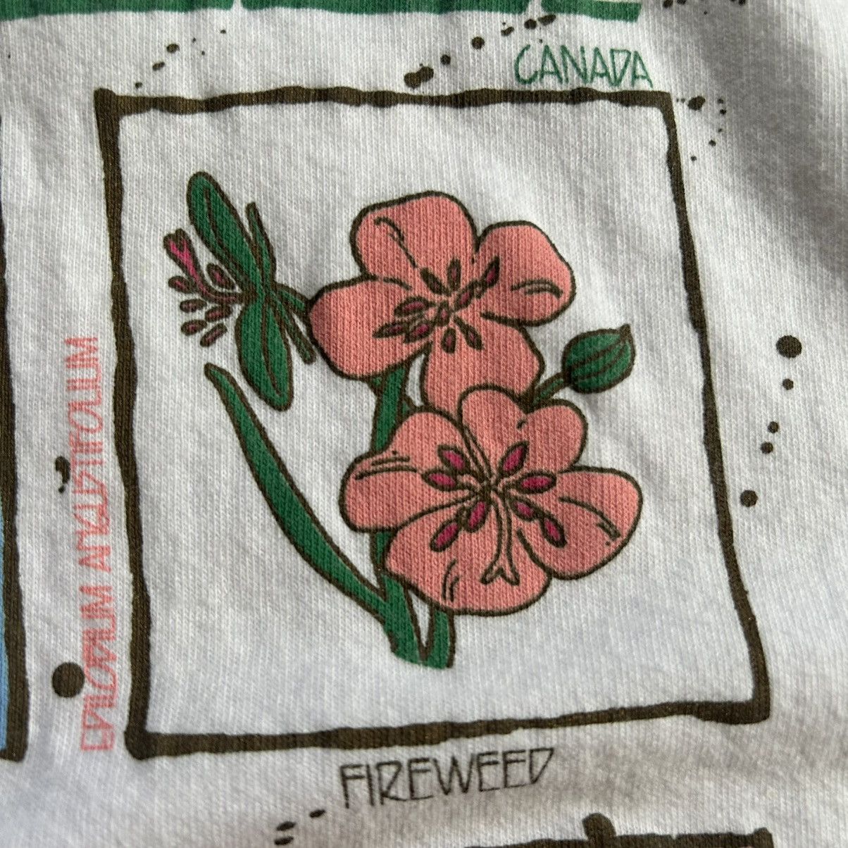 Vintage VANCOUVER iSLAND BRiTiSH COLUMBiA CANADA WiLDFLOWERS BOTANY Size US L / EU 52-54 / 3 - 18 Thumbnail