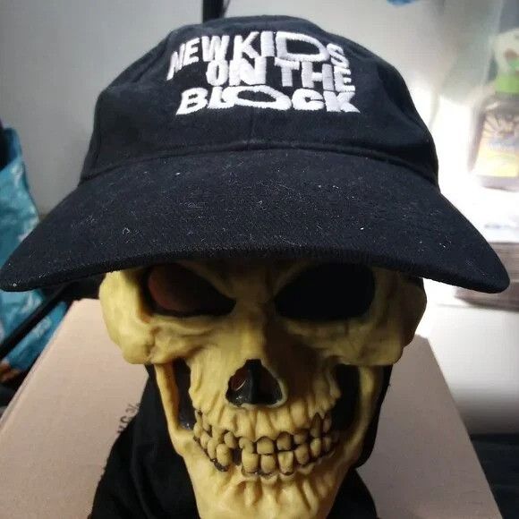 Band Tees New Kids On The Block Cruise 2015 Strap Back Hat Size ONE SIZE - 1 Thumbnail