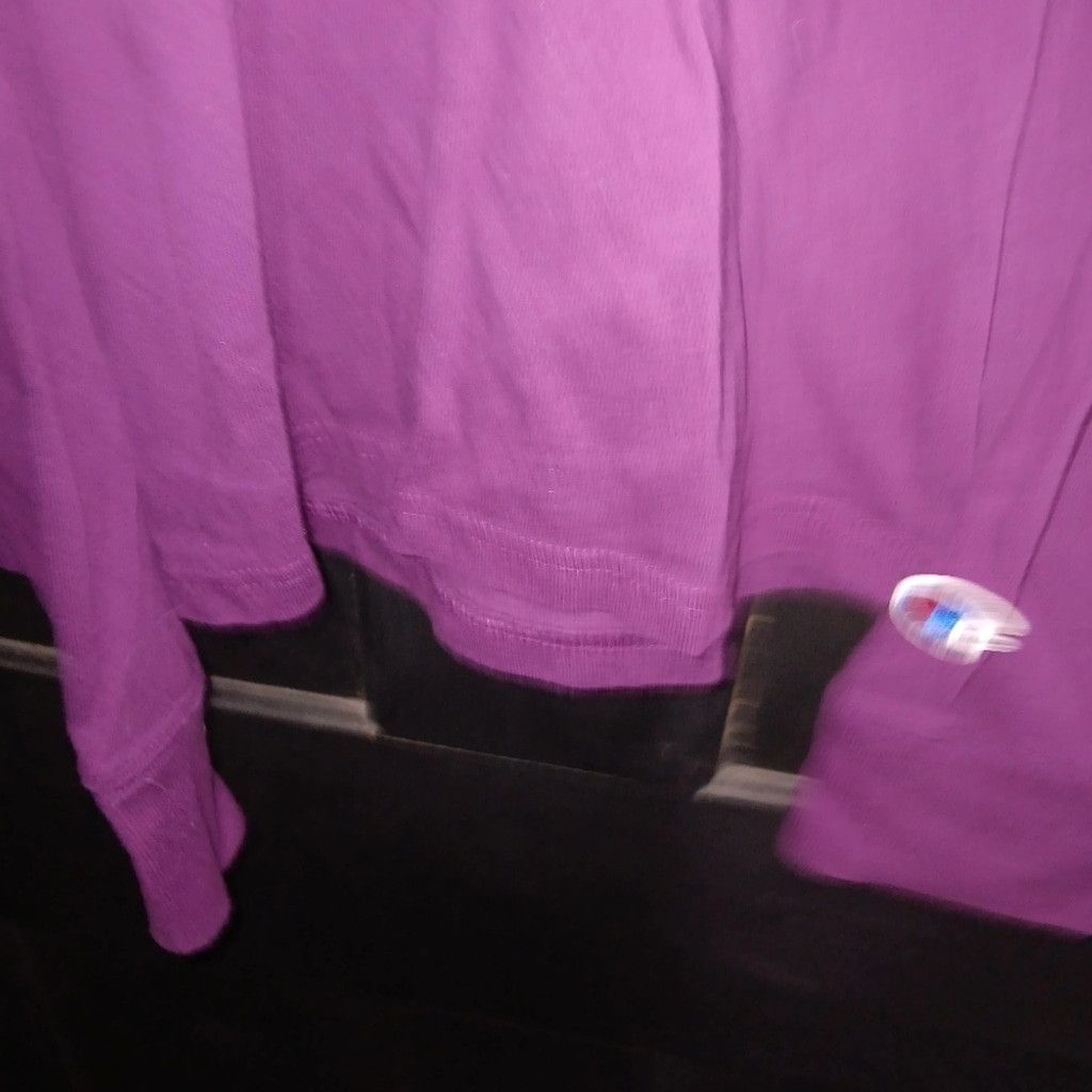 Champion Champion long sleeve shirt, heavyweight, ladies Small, nwot Size S / US 4 / IT 40 - 2 Thumbnail