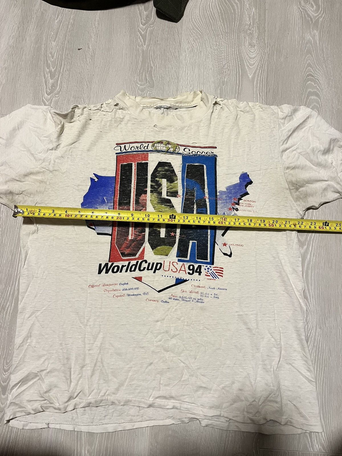 Vintage thrashed shirt Paper Thin Place Beyond The Pines