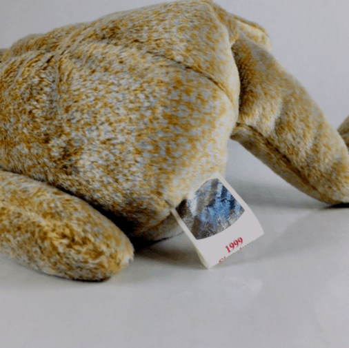 Vintage Ty 1999 Signature Bear Beanie Baby Retired Plush w/ Display Size ONE SIZE - 9 Thumbnail