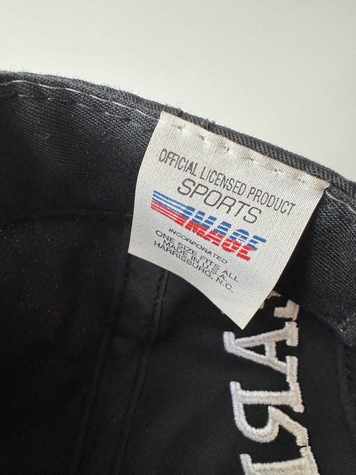 Vintage Vntg Dale Earnhardt Black Snapback Hat #3 Intimidator NASCAR Size ONE SIZE - 6 Thumbnail