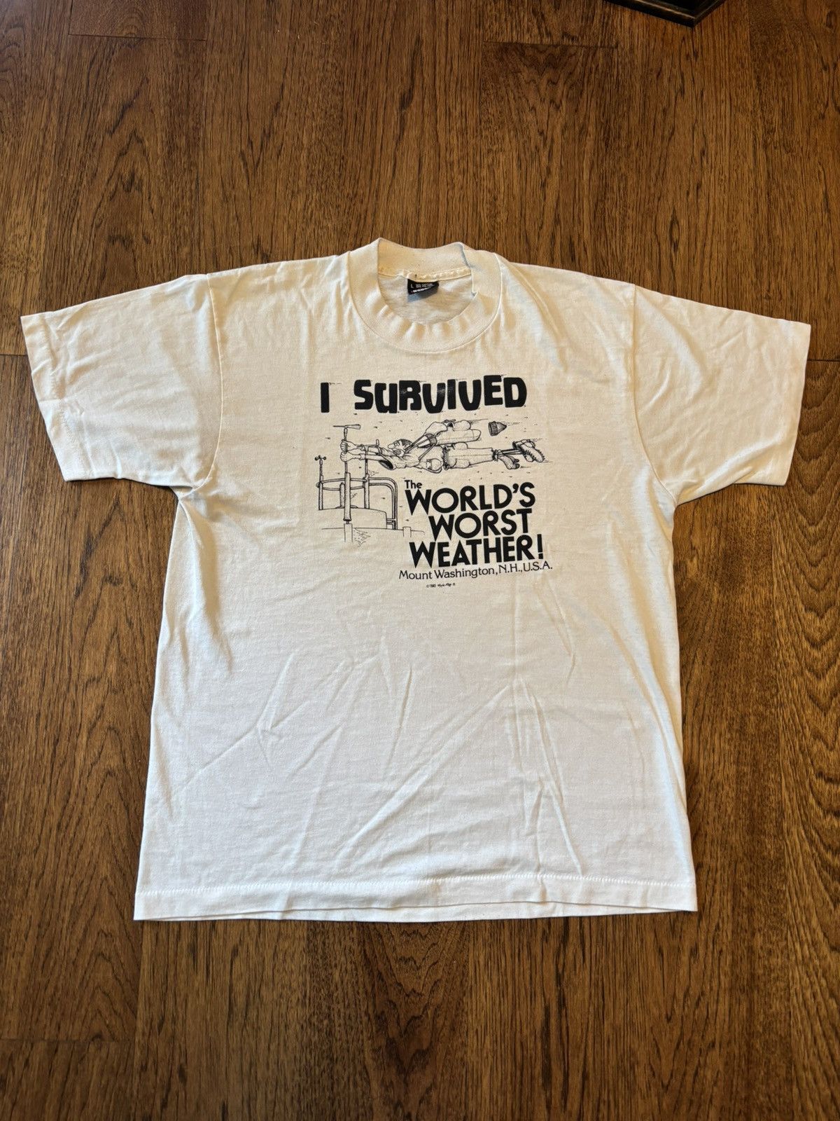 Vintage Vintage “I Survived The World’s Worst Weather” Tee Size US L / EU 52-54 / 3 - 1 Thumbnail