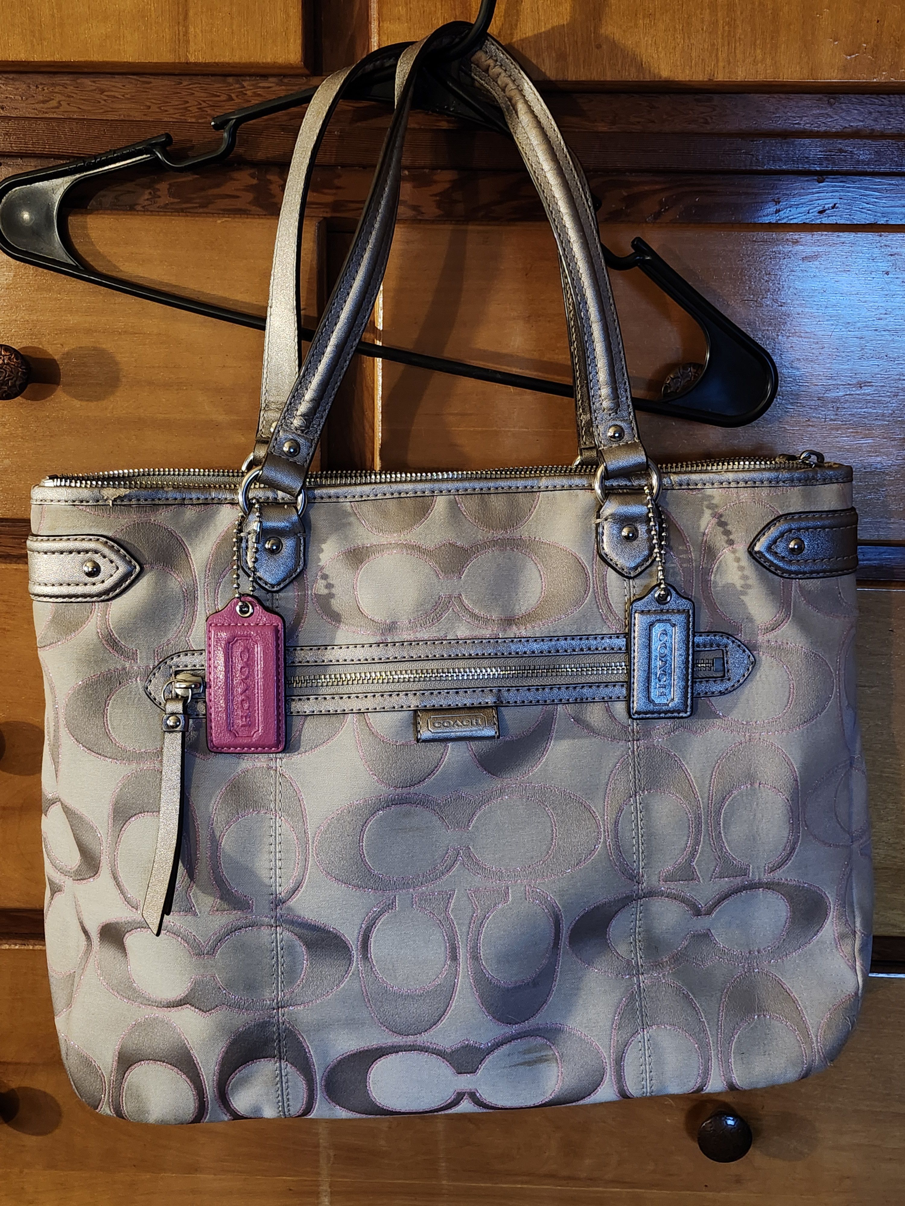 Coach Coach Daisy Outline Signature Metallic EMMA Tote Size ONE SIZE - 1 Thumbnail