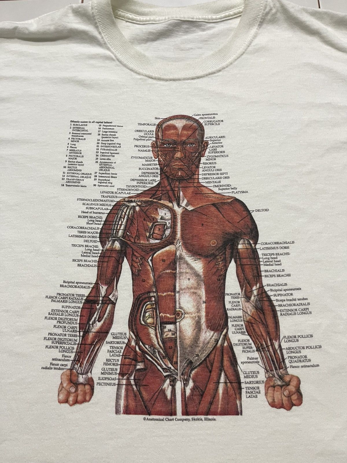 Fruit Of The Loom VINTAGE KURT COBAIN ANATOMICAL HUMAN SHIRT Size US L / EU 52-54 / 3 - 7 Thumbnail