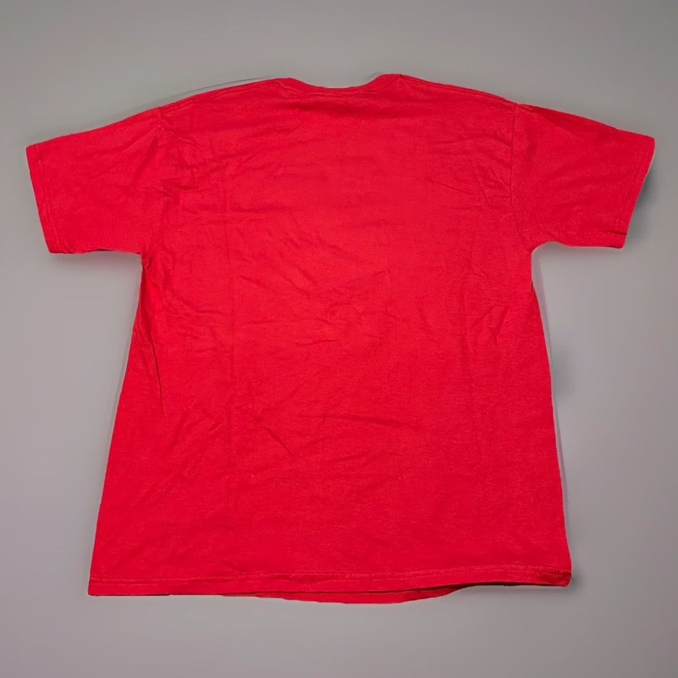 Hanes VINTAGE Gasparilla Pirate Festival Tampa Florida Hanes T-Shirt L Red Mens Vintage Y2K Gasparilla Pirate Festival Tampa Florida New With Tags Size US L / EU 52-54 / 3 - 2 Thumbnail