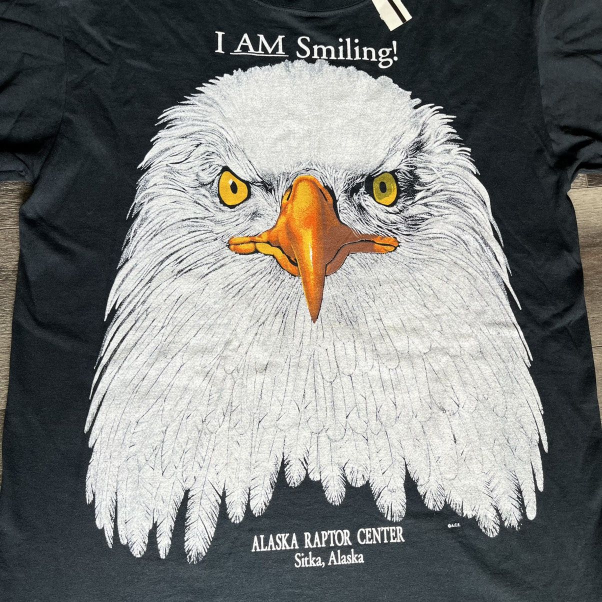 Vintage New Vintage Bald Eagle I Am Smiling Sitka Big Print Logo Tee Size US L / EU 52-54 / 3 - 2 Thumbnail