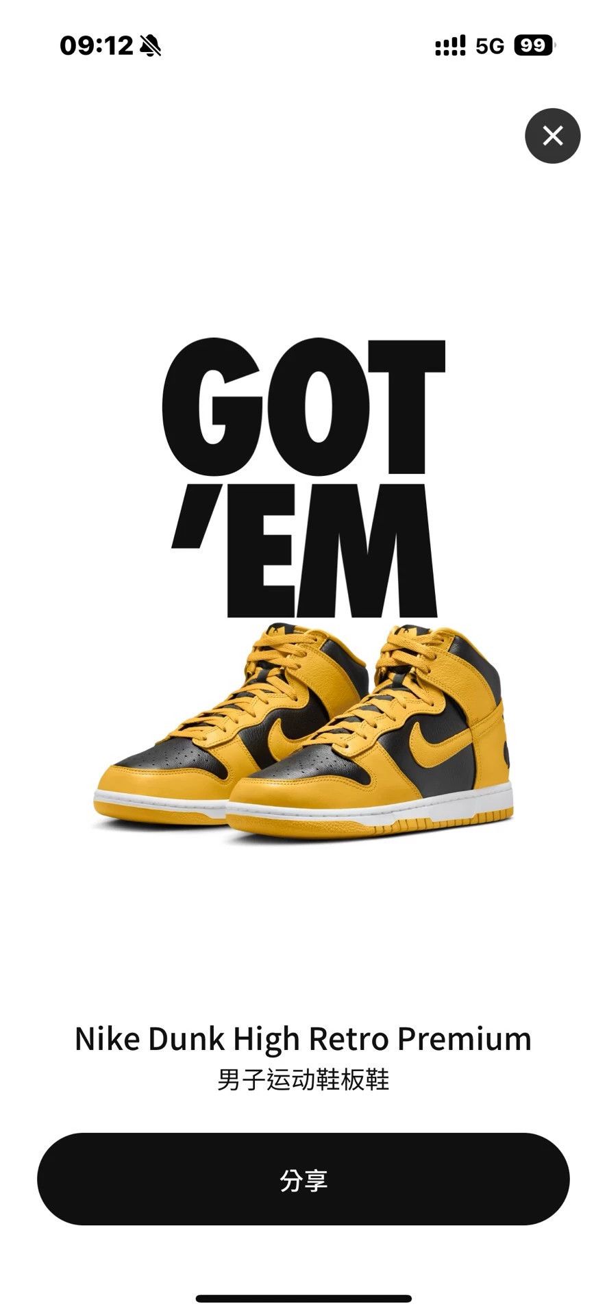 Nike Nike Dunk High X Wu-Tang Clan 42.5 US Unworn Size US 9.5 / EU 42-43 - 2 Thumbnail