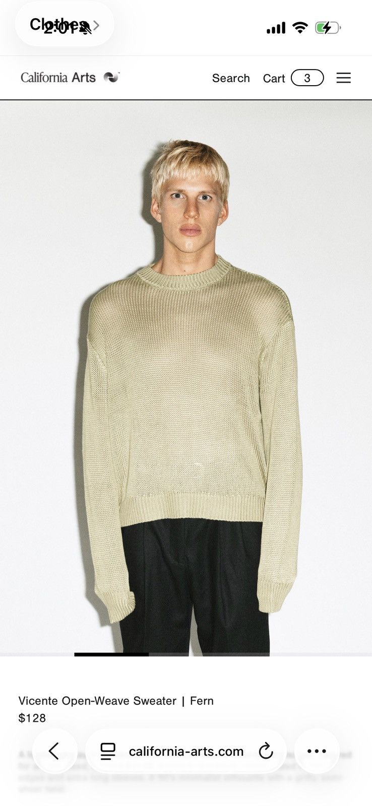 California Arts. California Arts Vicente Open-Weave Sweater | Fern Size US M / EU 48-50 / 2 - 1 Thumbnail