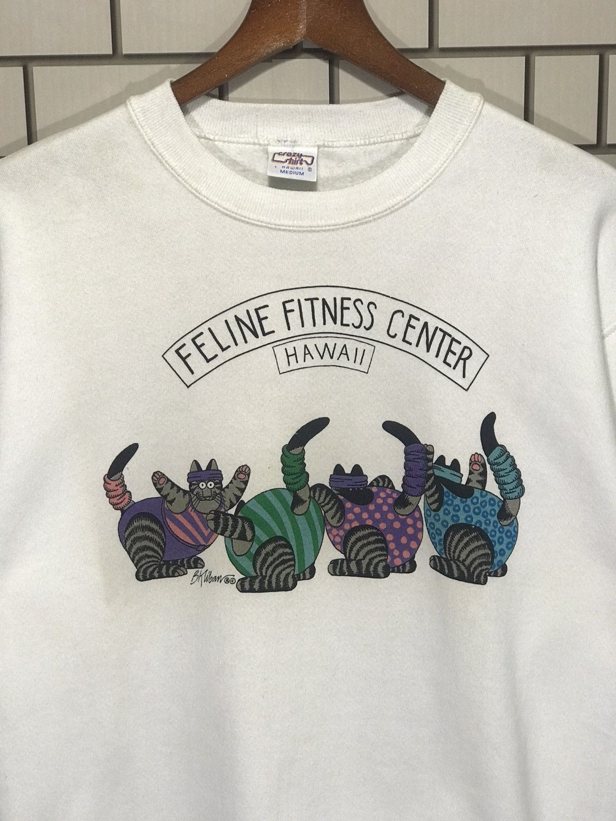 Other Vintage Bkliban Cat Hawai Sweatshirt Size US M / EU 48-50 / 2 - 3 Thumbnail