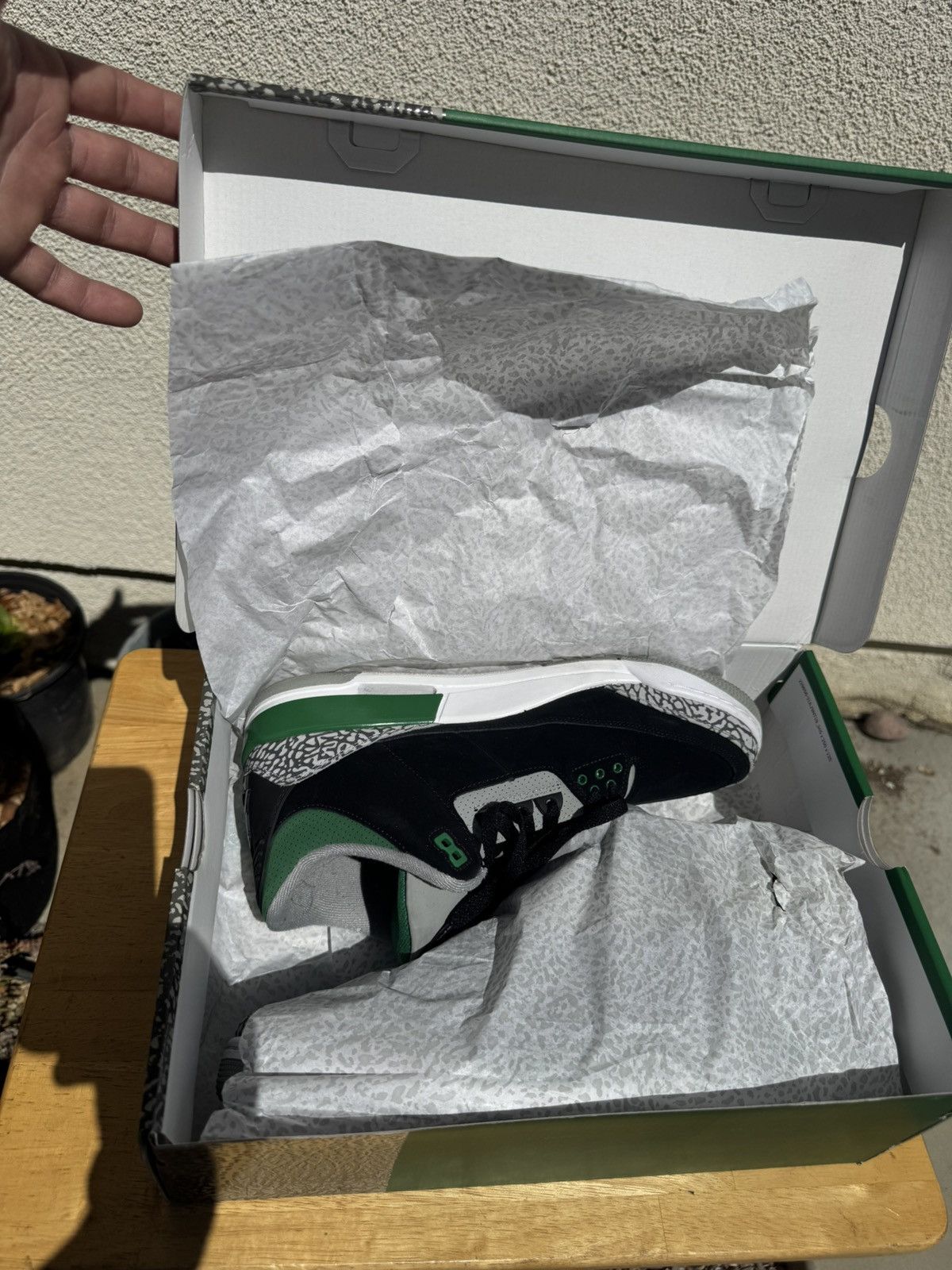 Jordan Brand Pine Green Jordan 3 Size US 11.5 / EU 44-45 - 5 Thumbnail