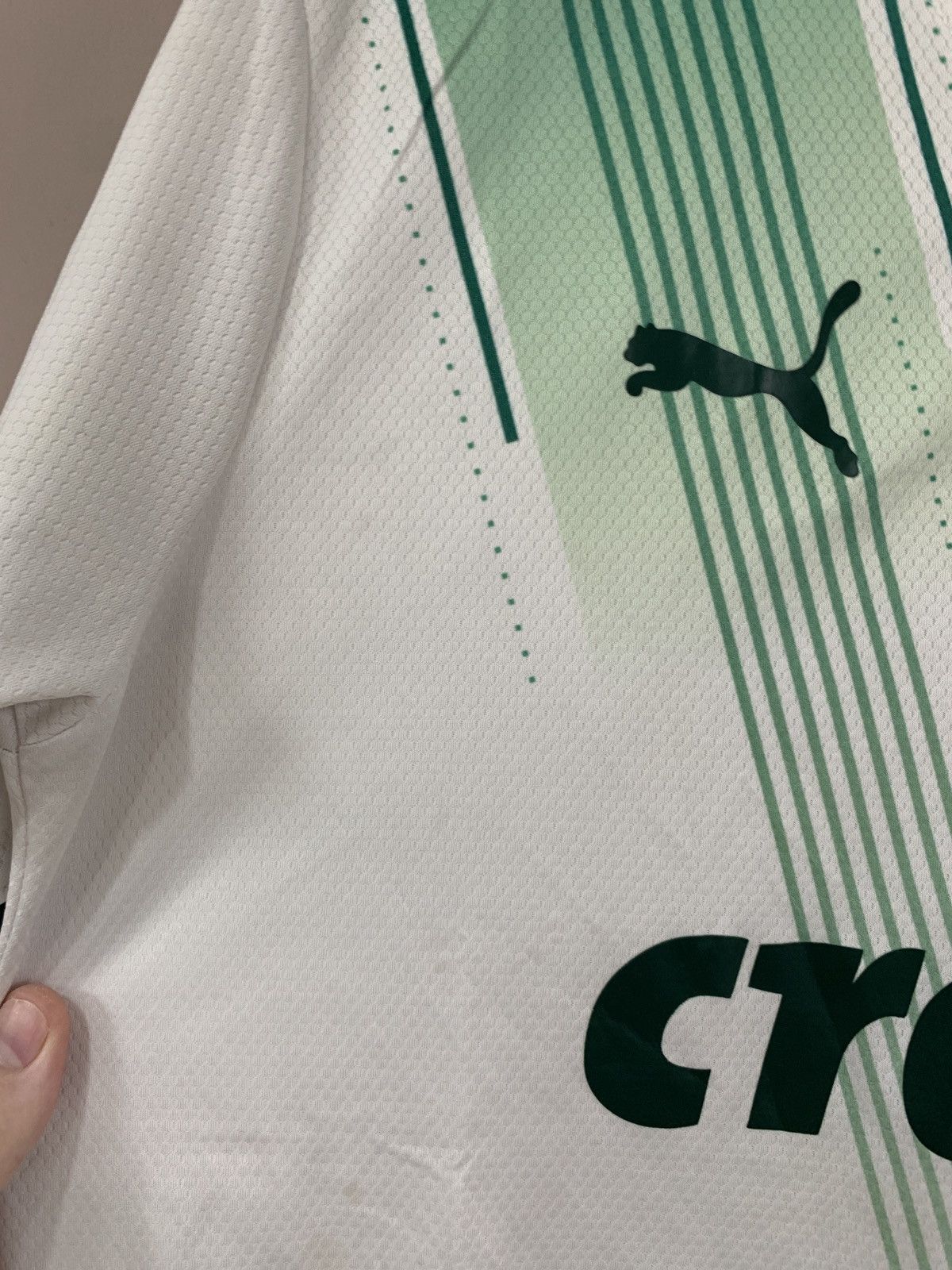 Puma Palmeiras Home Football Shirt Puma Soccer Jersey ENDRICK #9 Size US L / EU 52-54 / 3 - 7 Thumbnail