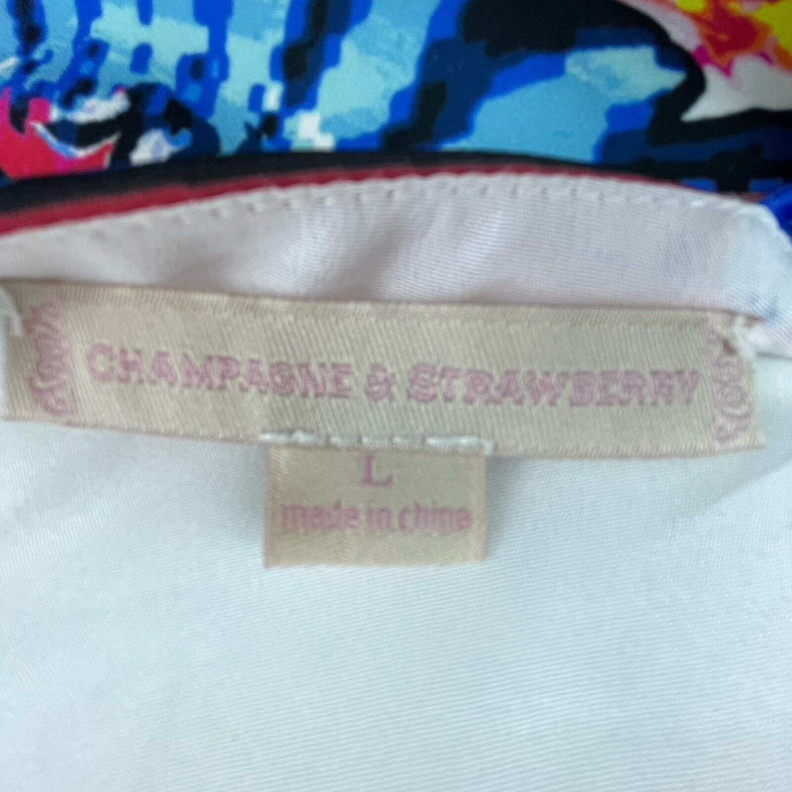 Anthropologie Champagne & Strawberry Dress Large Maximalist Art Abstract Size L / US 10 / IT 46 - 6 Thumbnail