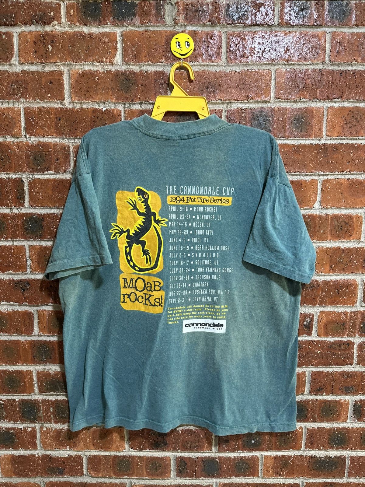Vintage The Cannondale Cup 1994 Fat Tire Series Sun Faded