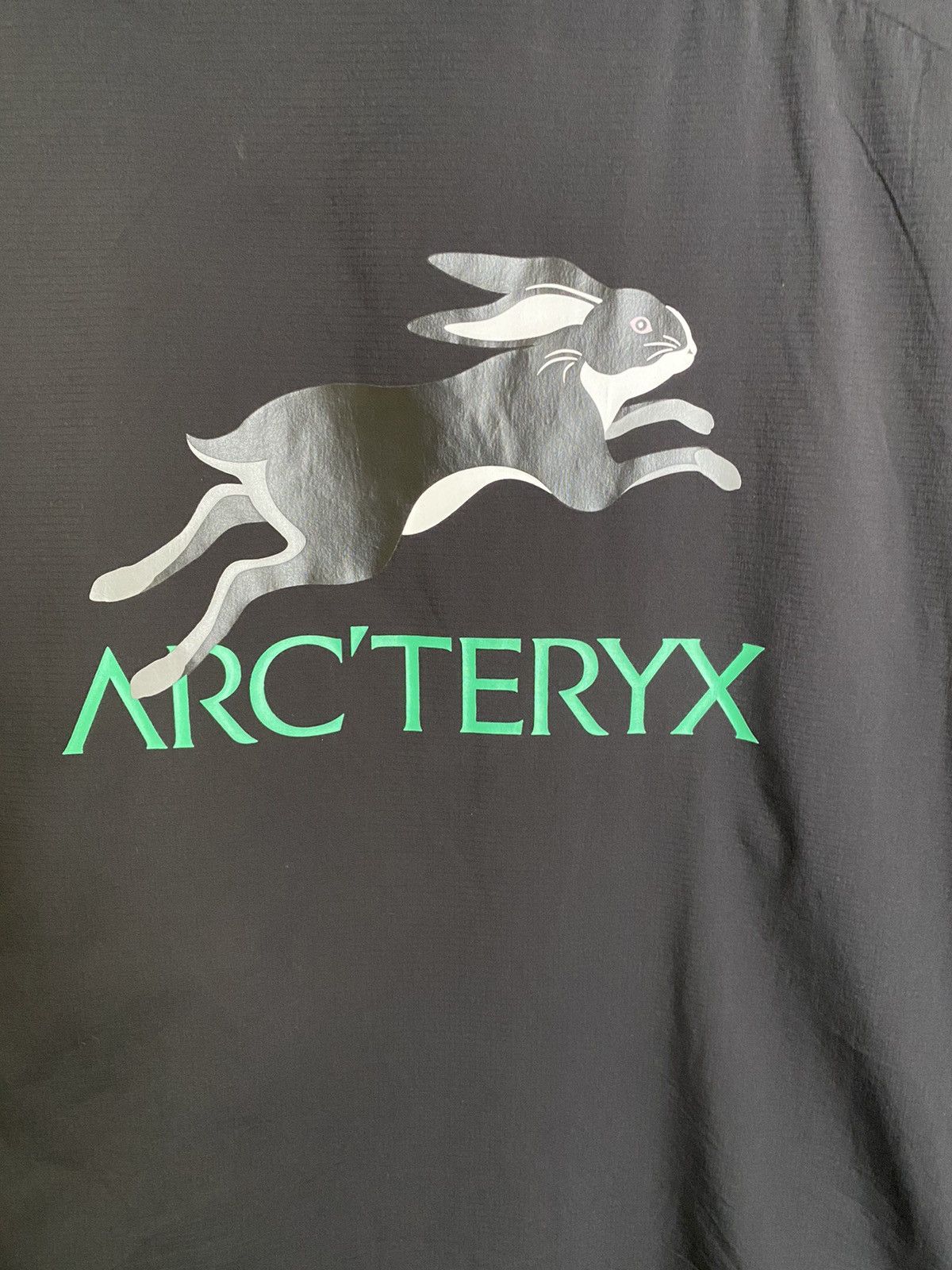 Arc'teryx Arcteryx Lunar New Year Atom LT Jacket Size US L / EU 52-54 / 3 - 4 Thumbnail