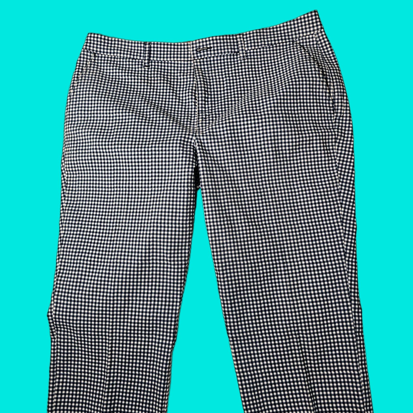 Tommy Hilfiger Tommy Hilfiger Women's Blue and White Check Plaid Straight Fit Pants 14 Size 36 in Waist Inseam 26.5 in Chino Size 36" / US 14 / IT 50 - 1 Thumbnail
