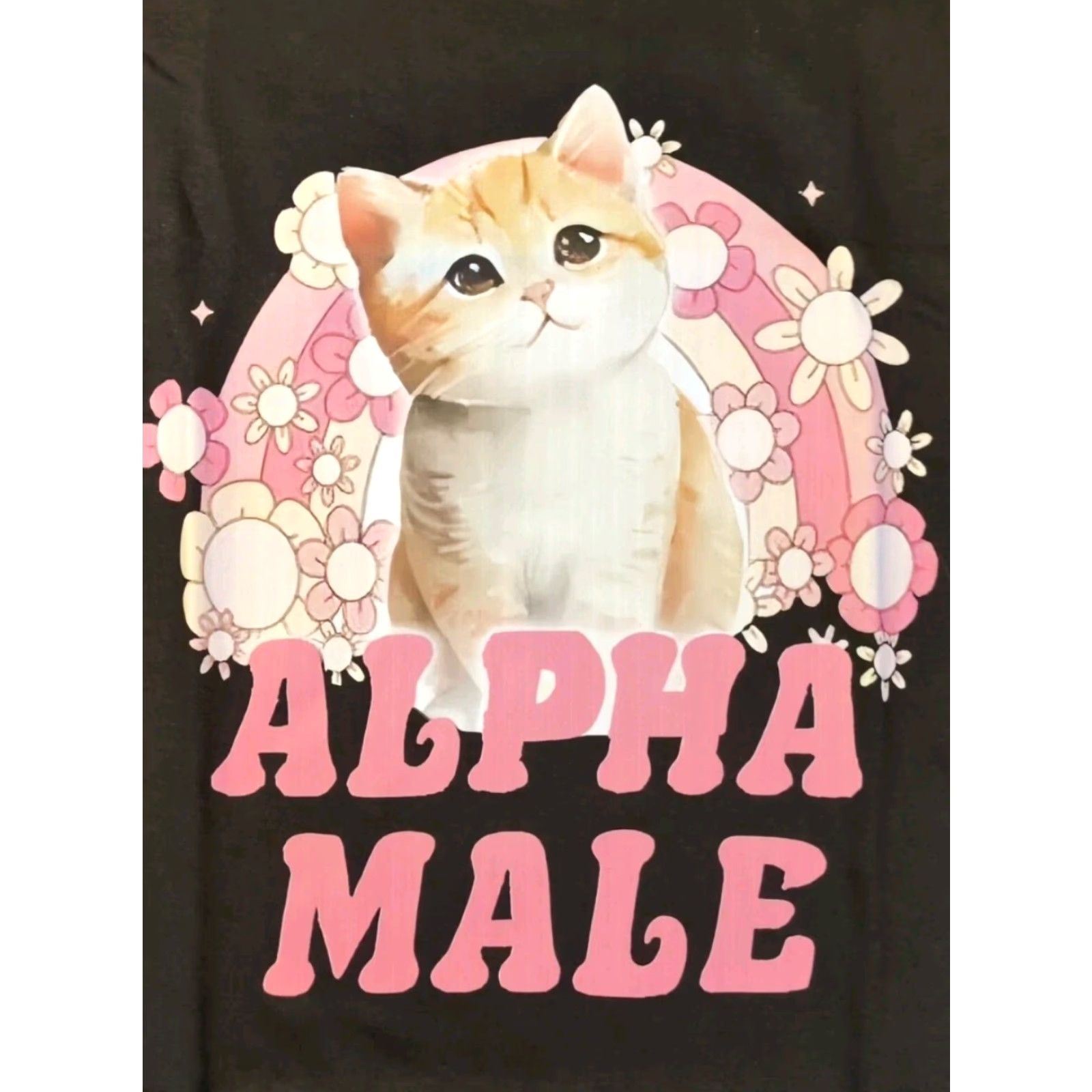 Vintage Alpha Male Funny Kitten T shirt Funny Cat Meme Shirt XL BLACK NEW 46" Chest Size US XL / EU 56 / 4 - 3 Thumbnail