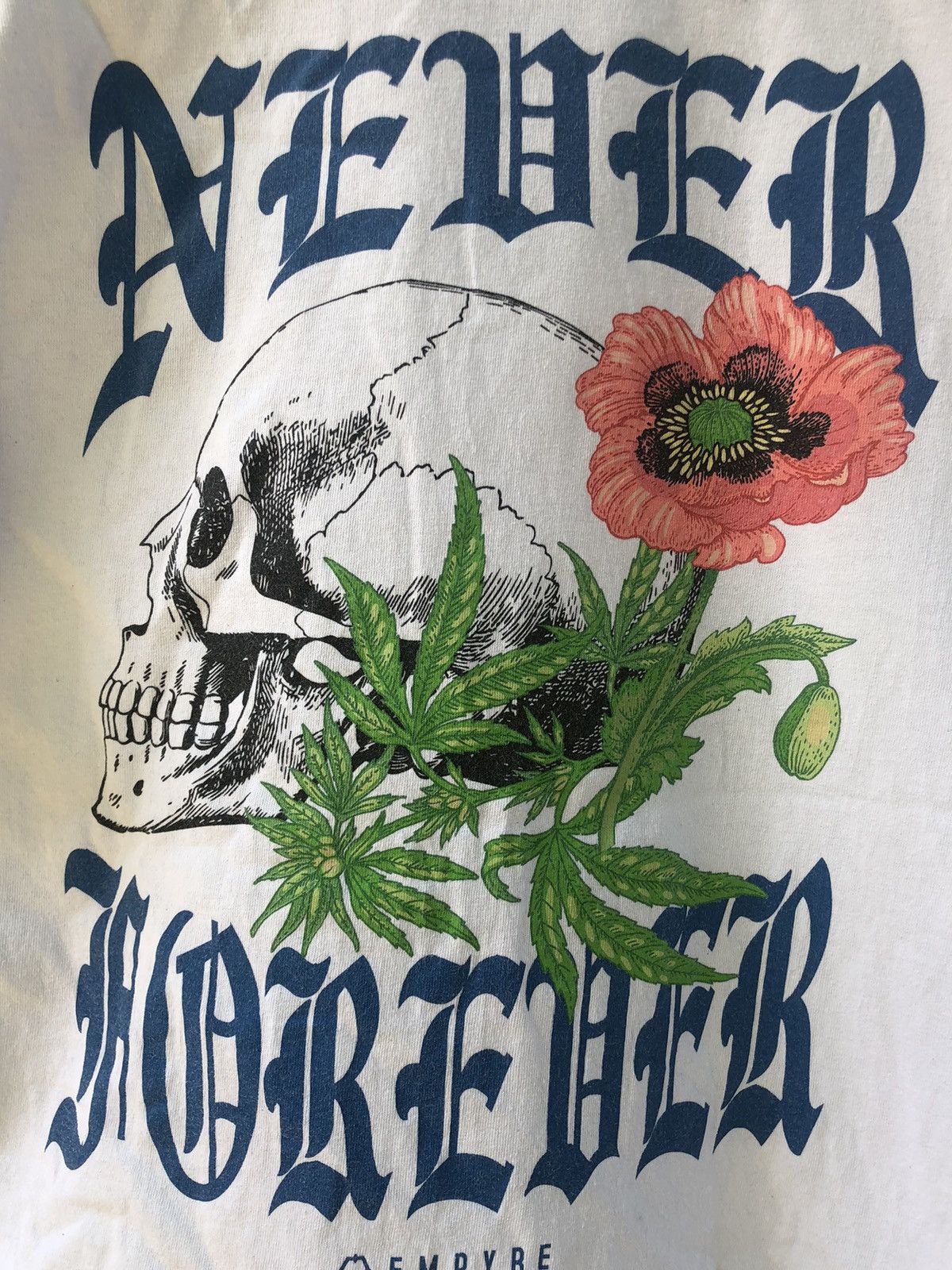 Blind Skateboards Empyre Skateboards Never Forever Skulls Art Design Tee Size US L / EU 52-54 / 3 - 5 Thumbnail