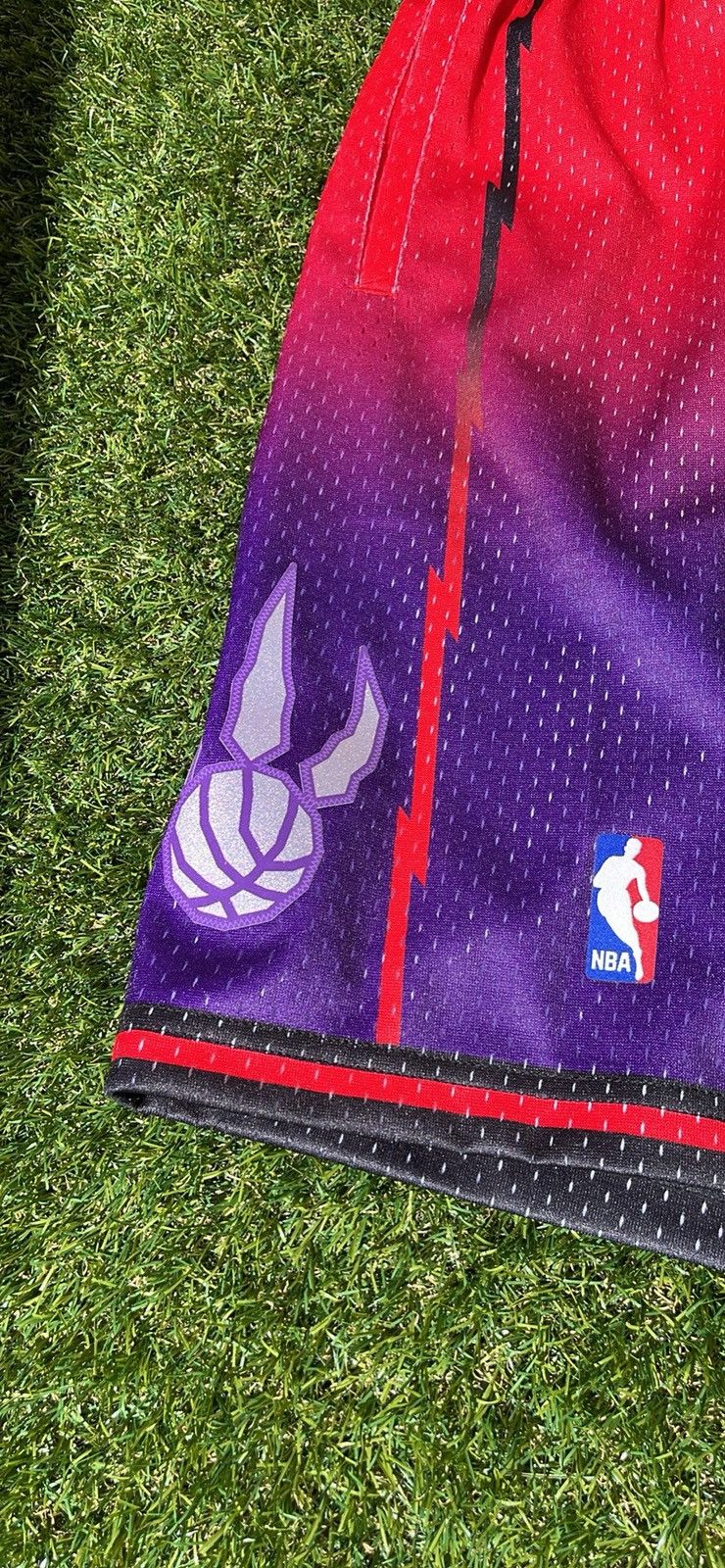 Mitchell & Ness Toronto Raptors Swingman Shorts Size US 32 / EU 48 - 4 Thumbnail