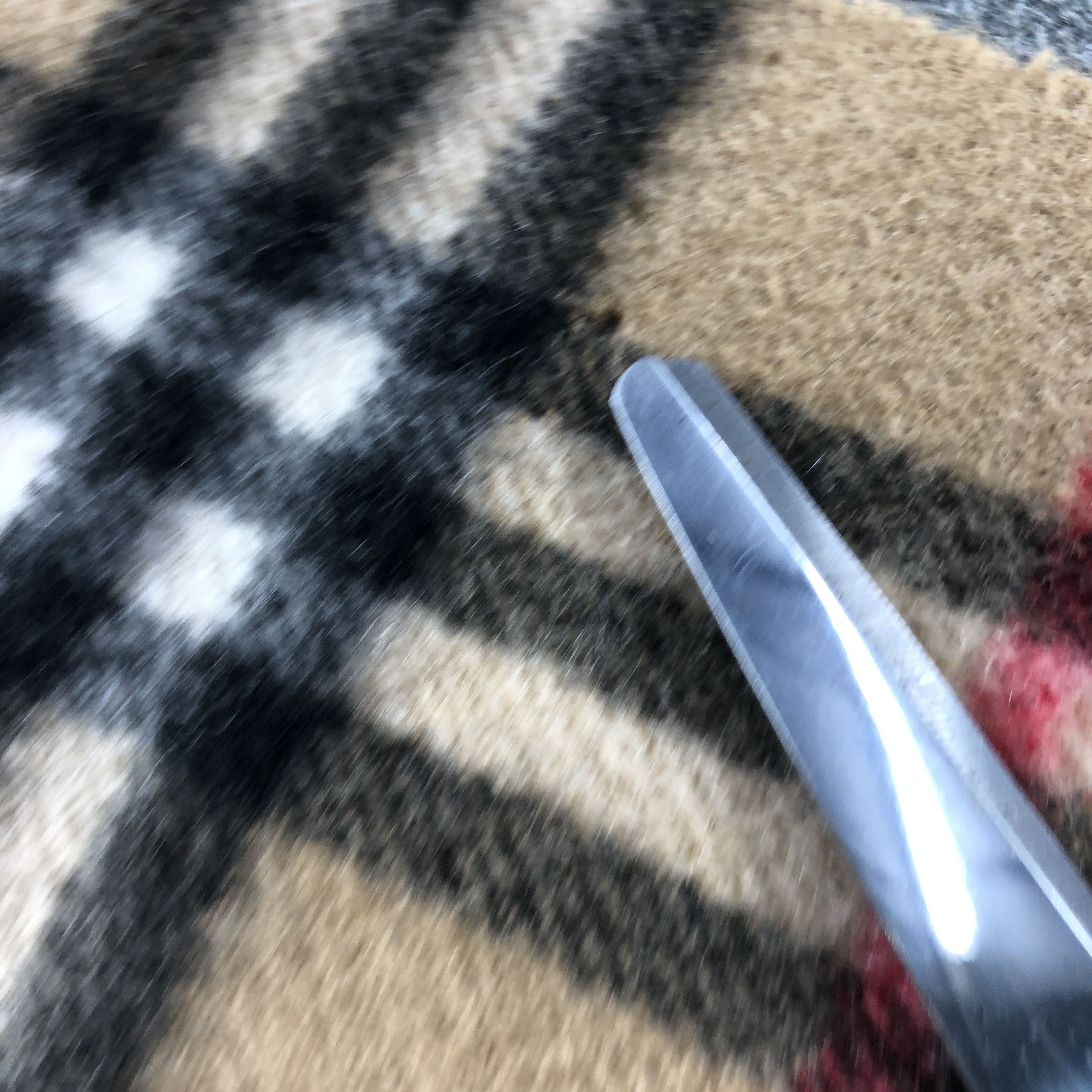 Burberry Burberry Tan Nova Check Cashmere Scarf Muffler V2891 Size ONE SIZE - 8 Thumbnail