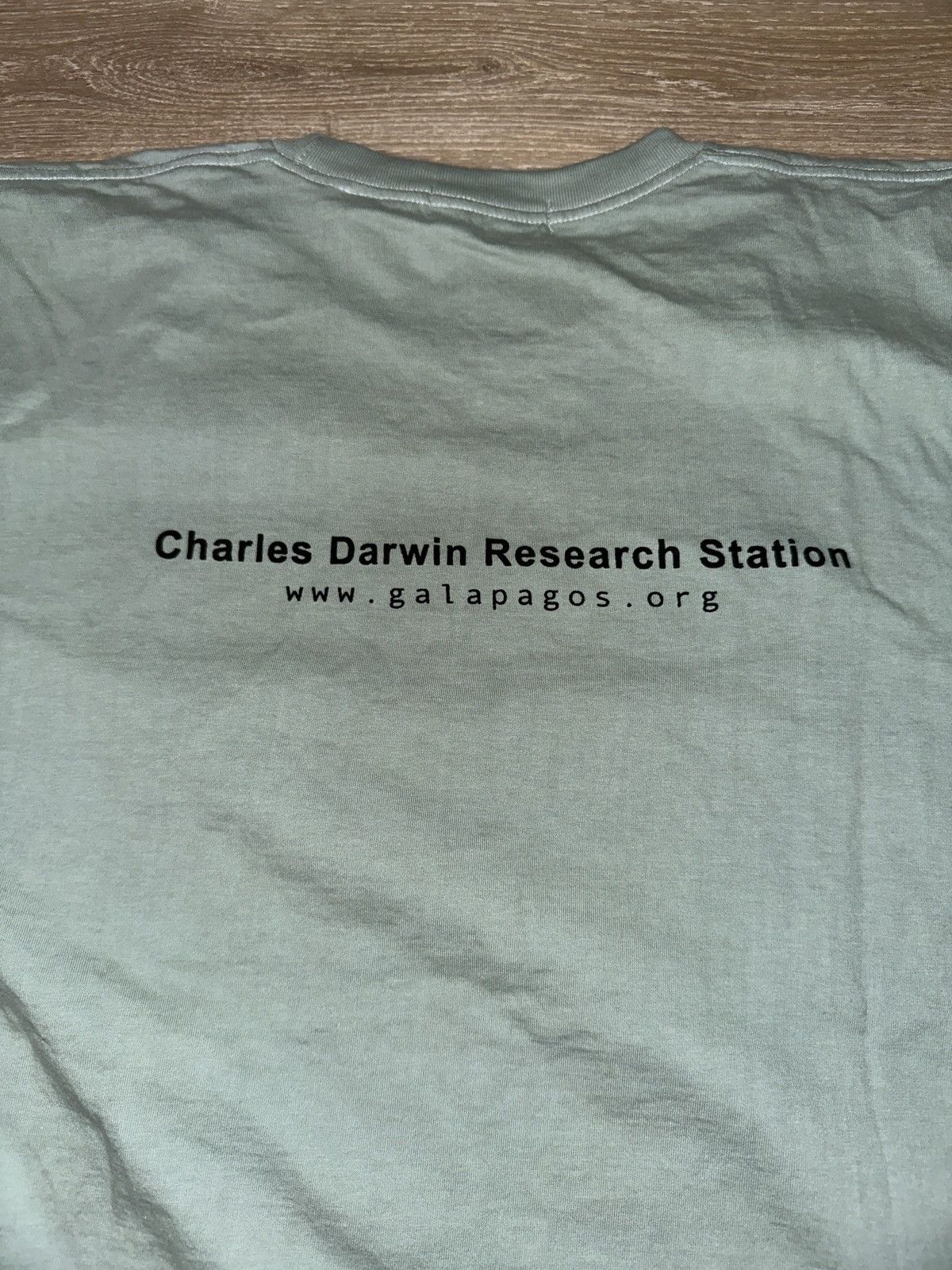 Other Charles Darwin Center Ornithology Galapagos Penguins T-Shirt Size US XL / EU 56 / 4 - 4 Thumbnail