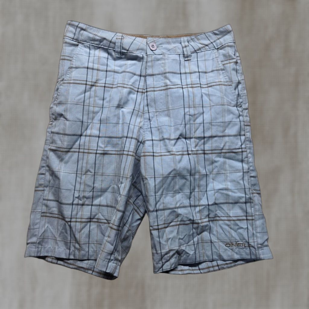 O'Neill O'Neill Blue Plaid Patterned Shorts Casual Beach Adult Men's 29 Blue Plaid Shorts Summer Beach Mens 29 California? Size US 29 - 1 Thumbnail