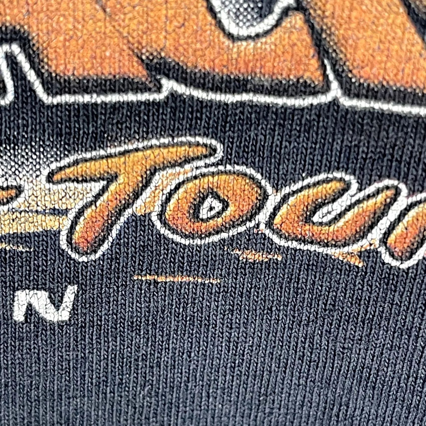 Fruit Of The Loom VINTAGE Fruit of the Loom Shirt Mens Large Black US Flat Track 2002 Motorcycle Racing Graphic Tee Size US L / EU 52-54 / 3 - 4 Thumbnail