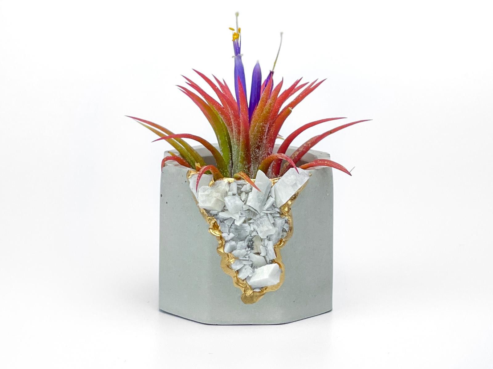 Other Moonstone Crystal Planter air plant holder for yoga Size ONE SIZE - 1 Thumbnail