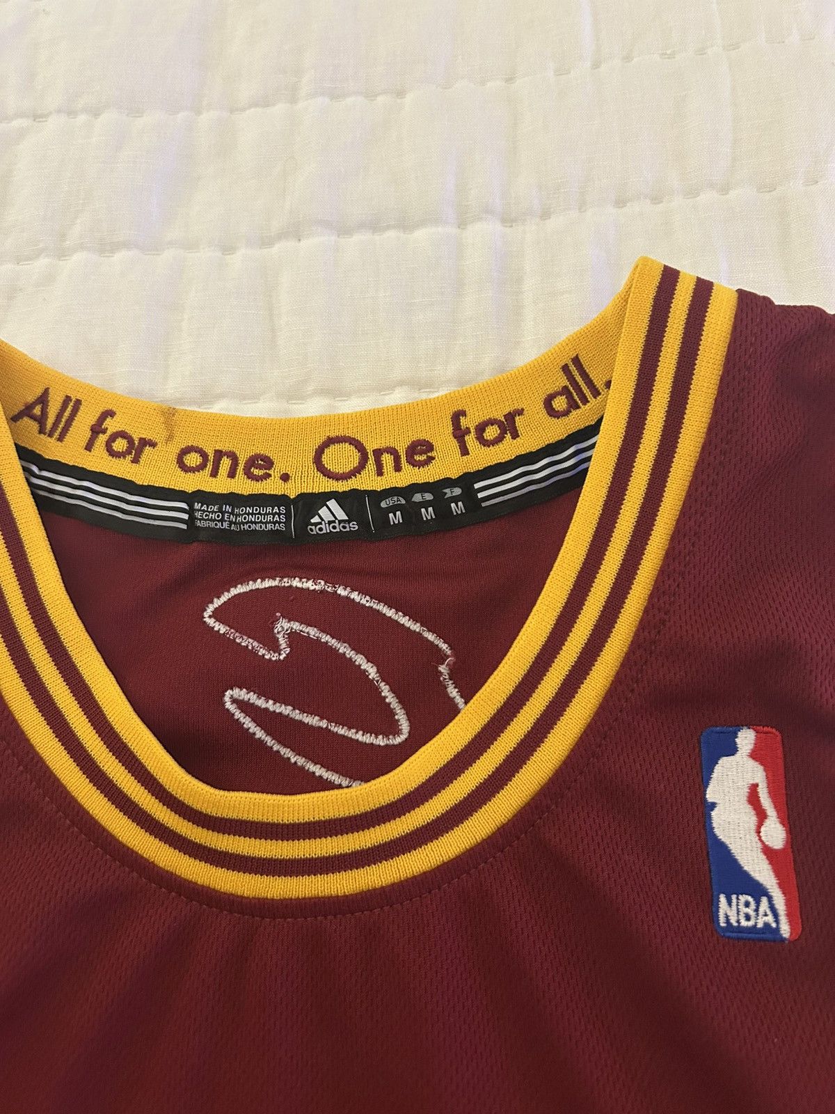 Adidas NBA Authentics Antawn Jamison Cavs Jersey Size US M / EU 48-50 / 2 - 4 Thumbnail