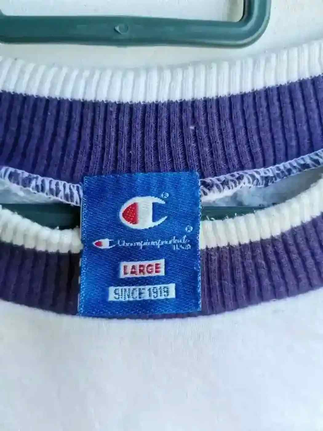 Champion Vintage Champion Products Sweatshirt Size US L / EU 52-54 / 3 - 3 Thumbnail