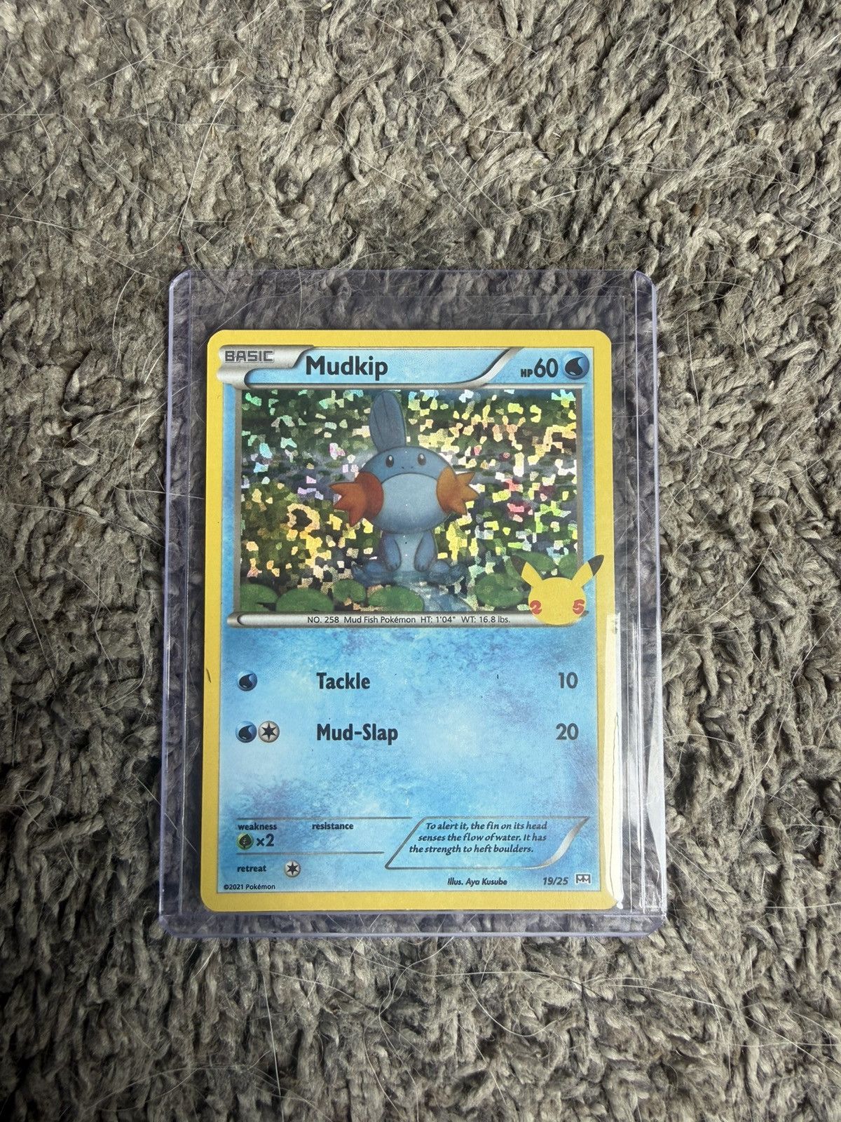 Pokemon 2021 Pokémon Mudkip Card Size ONE SIZE - 1 Thumbnail