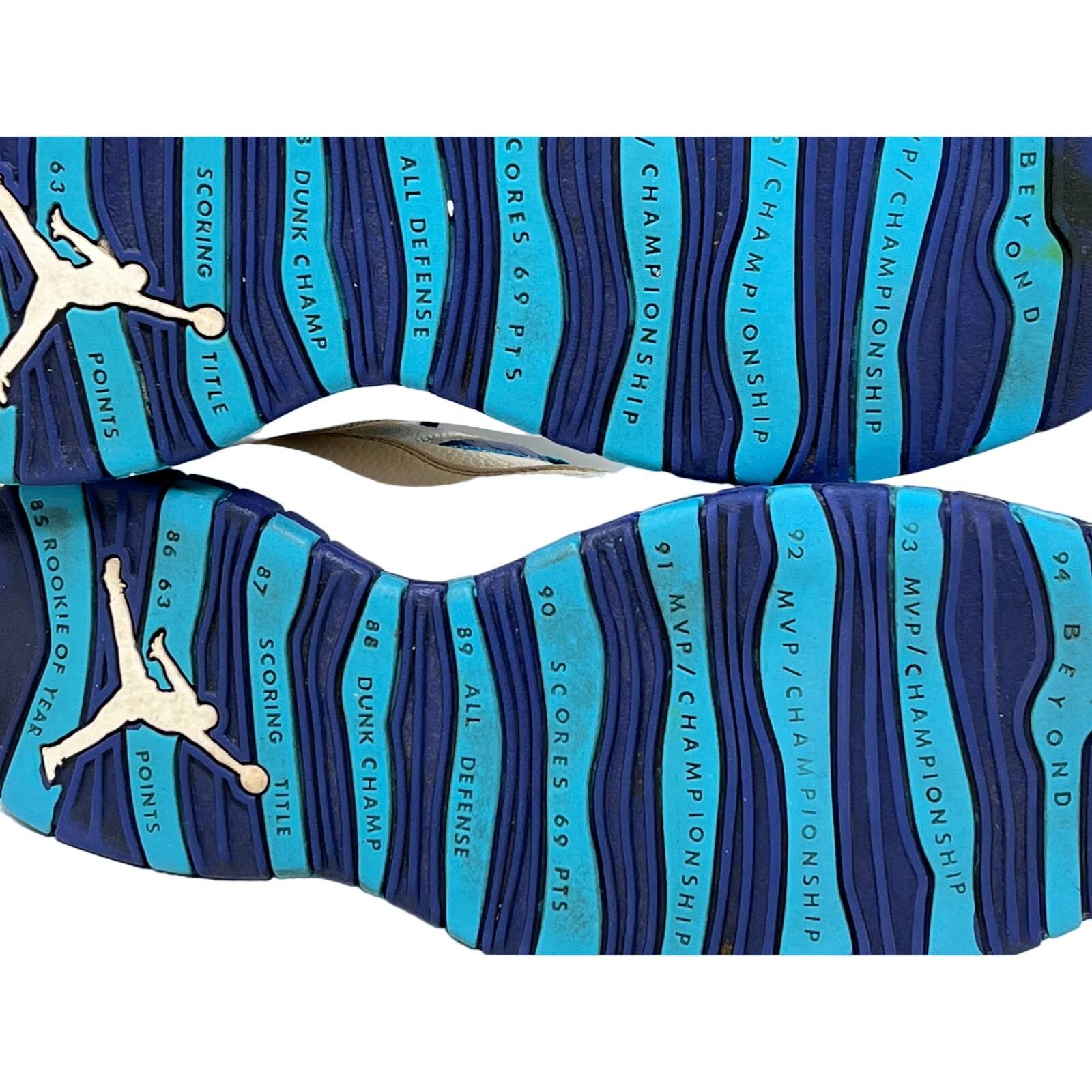 Nike Nike Air Jordan Retro 10 Charlotte Mens 10 Size US 10 / EU 43 - 10 Thumbnail