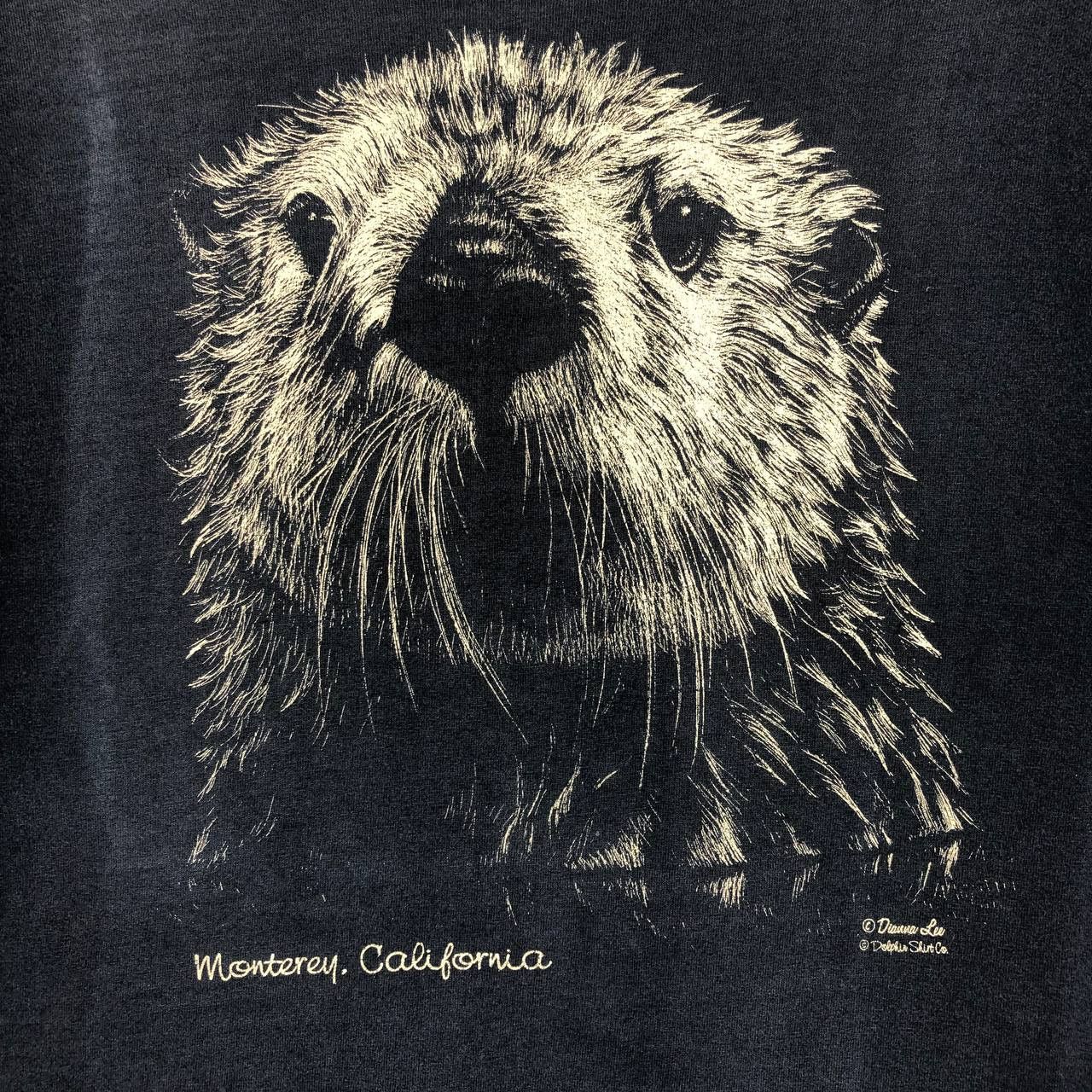 Arts & Science Vintage Monterey, california Men t-shirt Size US M / EU 48-50 / 2 - 5 Thumbnail