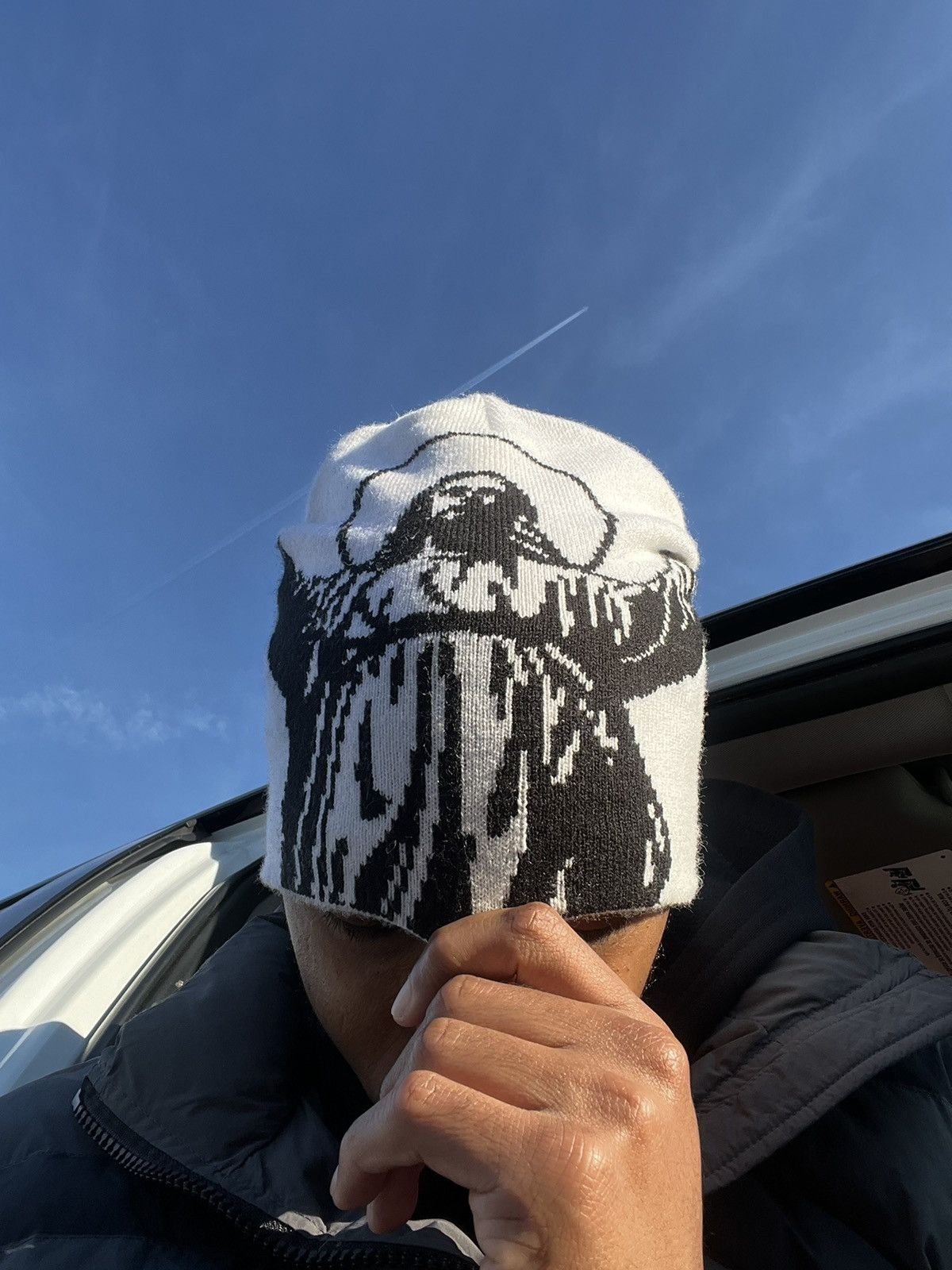 Other TheBrandOf2 Beanie Size ONE SIZE - 4 Thumbnail