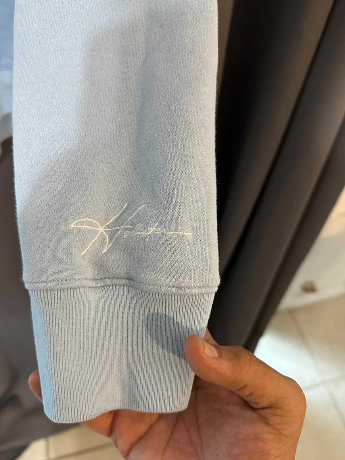 Hollister Hollister hoodie in XL pale blue -embroidered bird logo Size US XL / EU 56 / 4 - 6 Thumbnail