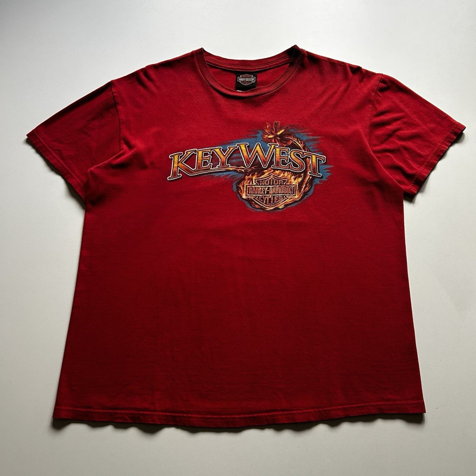 Vintage Harley‑Davidson T Shirt Large Boxy Y2K Florida USA
