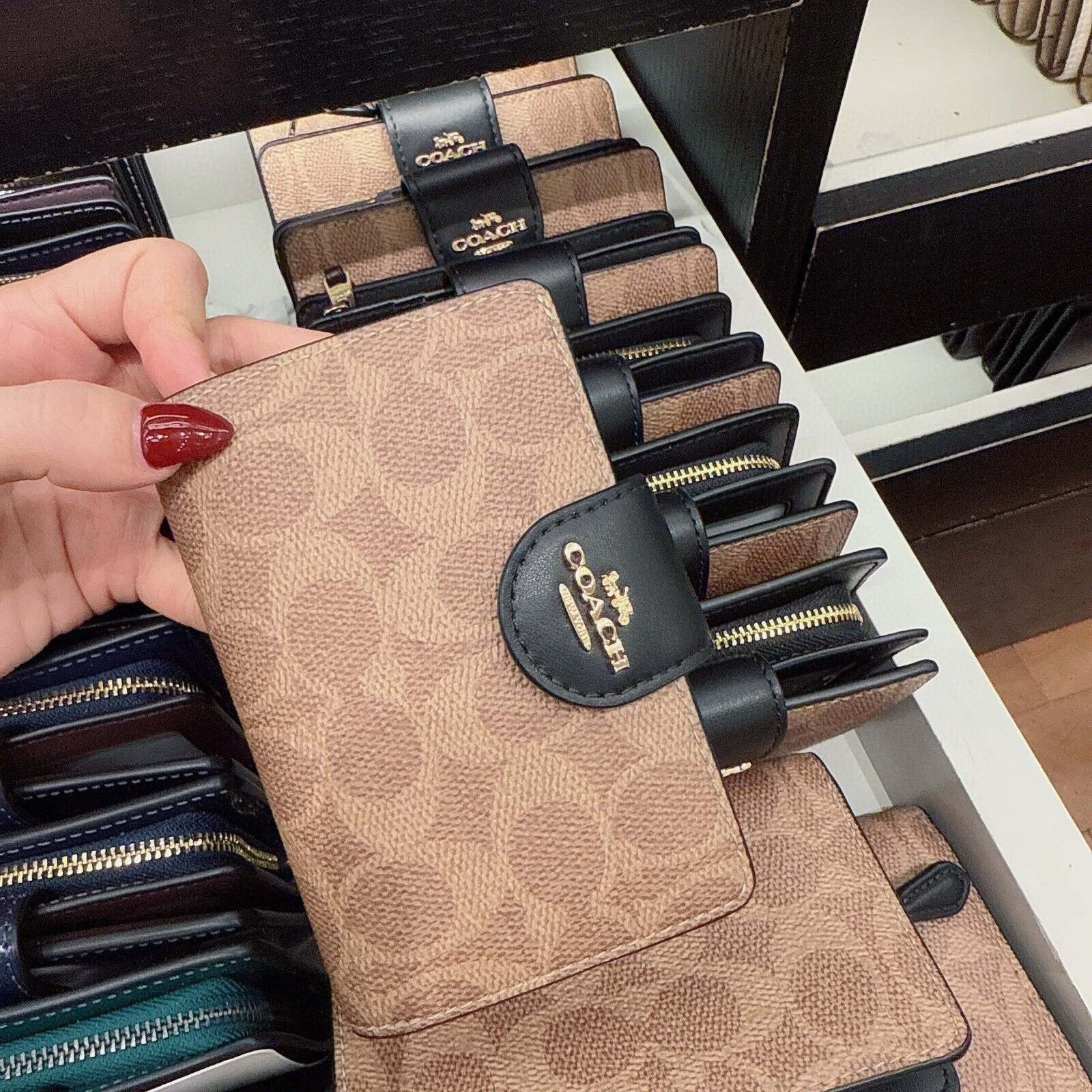 Coach NWT Coach Medium Corner Zip Wallet Signature Canvas Size ONE SIZE - 4 Thumbnail