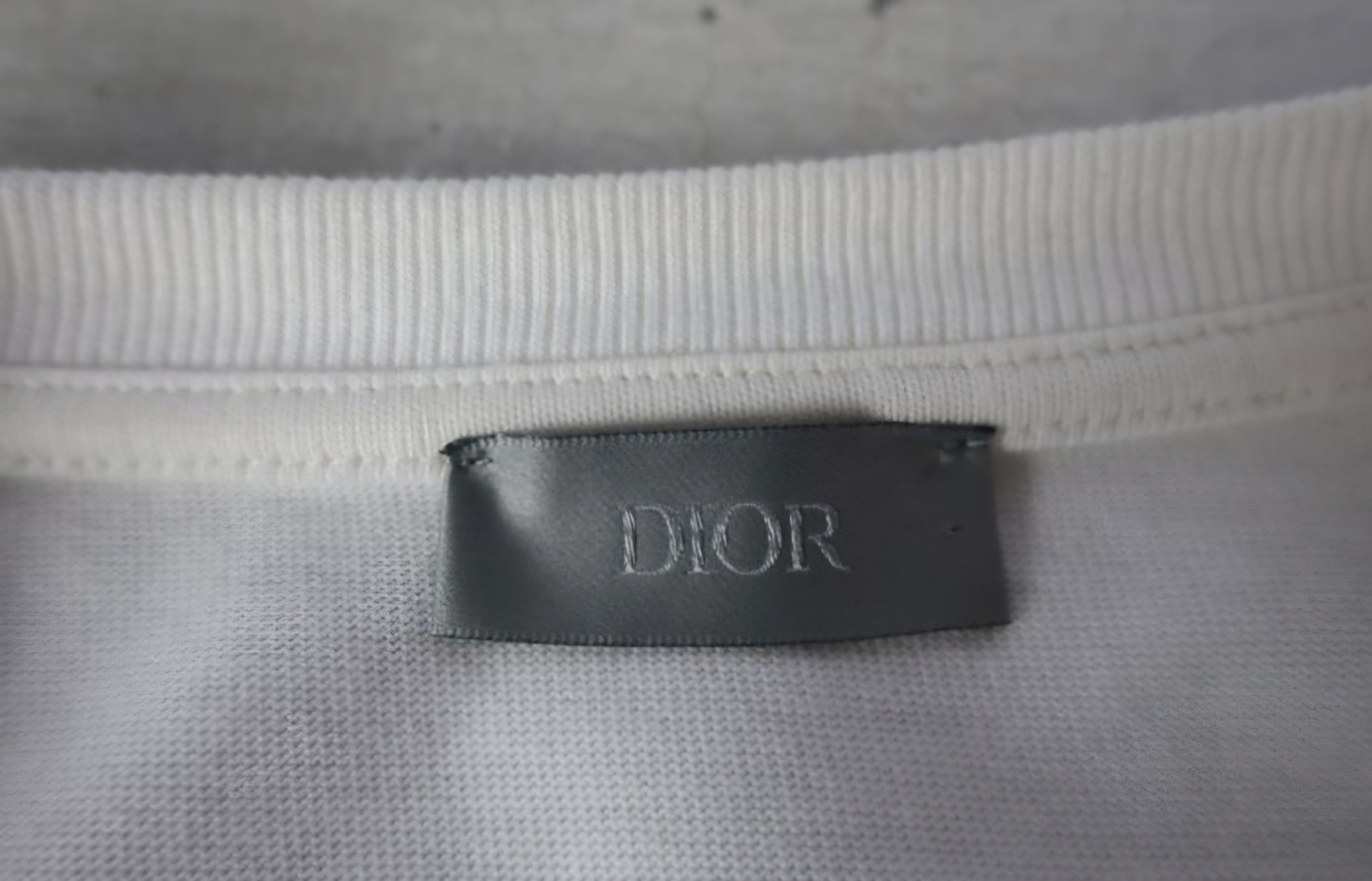 Dior Dior x Raymond Pettibon Embroidered Crewneck T-Shirt Size US L / EU 52-54 / 3 - 12 Thumbnail