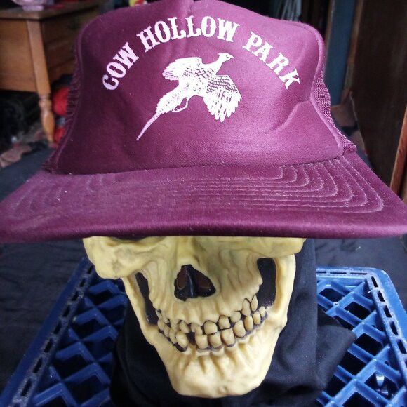 Other DS Vintage Cow Hollow Park Pheasant Snap Trucker Hat Cap Size ONE SIZE - 1 Thumbnail
