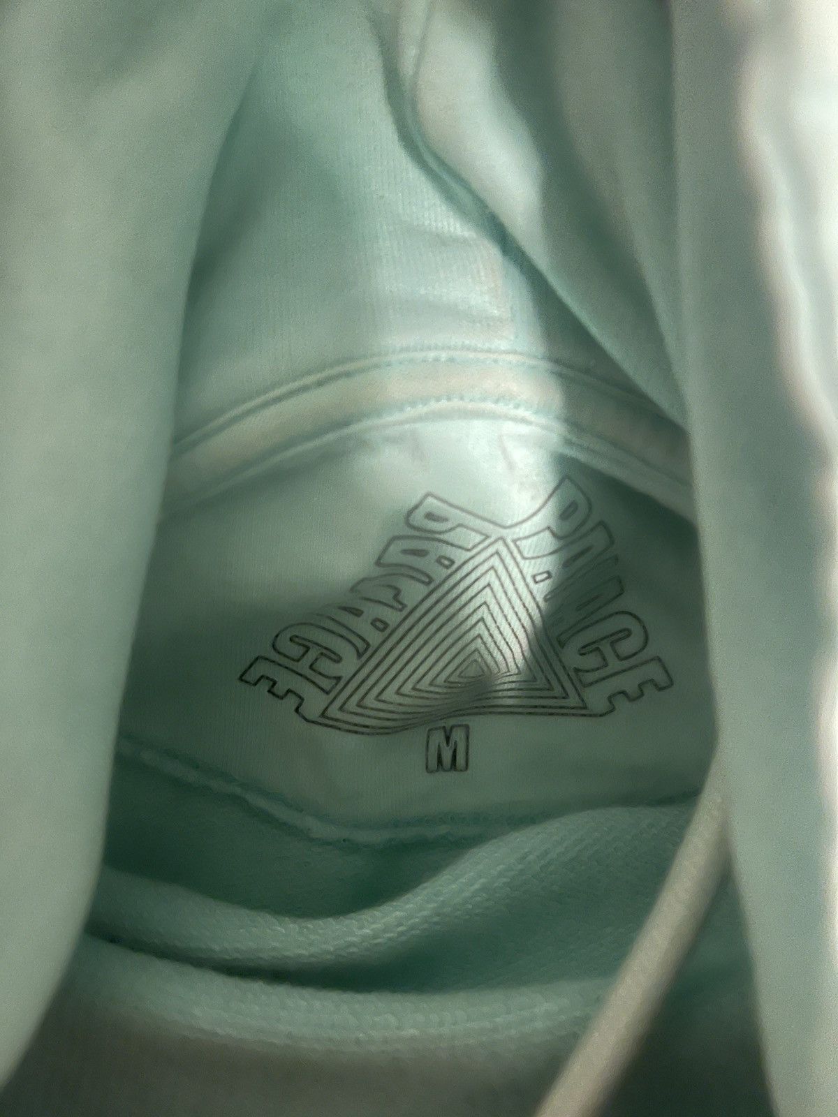Palace × Supreme Palace Hoodie from Palace Store in NY Seafoam Green Size US M / EU 48-50 / 2 - 2 Thumbnail