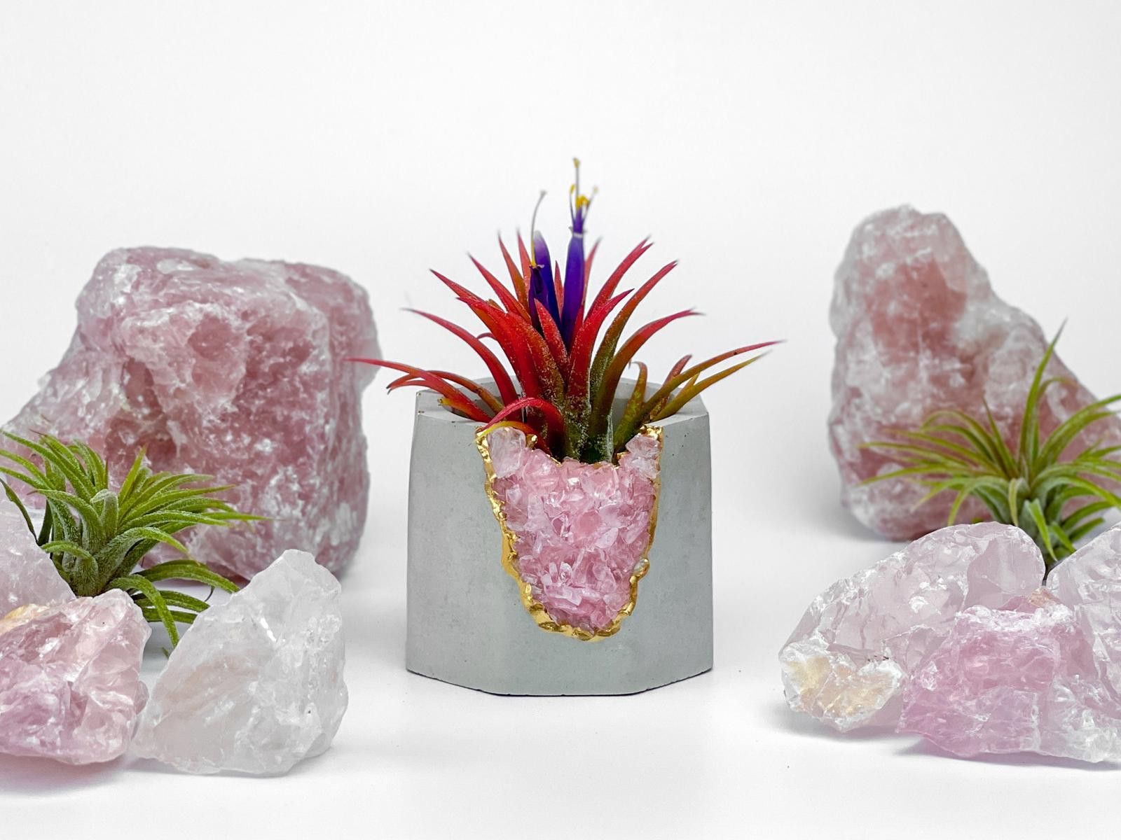 Other Rose Quartz Crystal Planter Concrete Geode Air Plant Holder Size ONE SIZE - 7 Thumbnail
